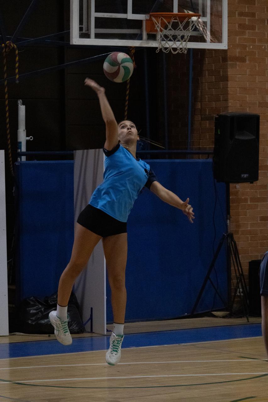 Jugador de voleibol