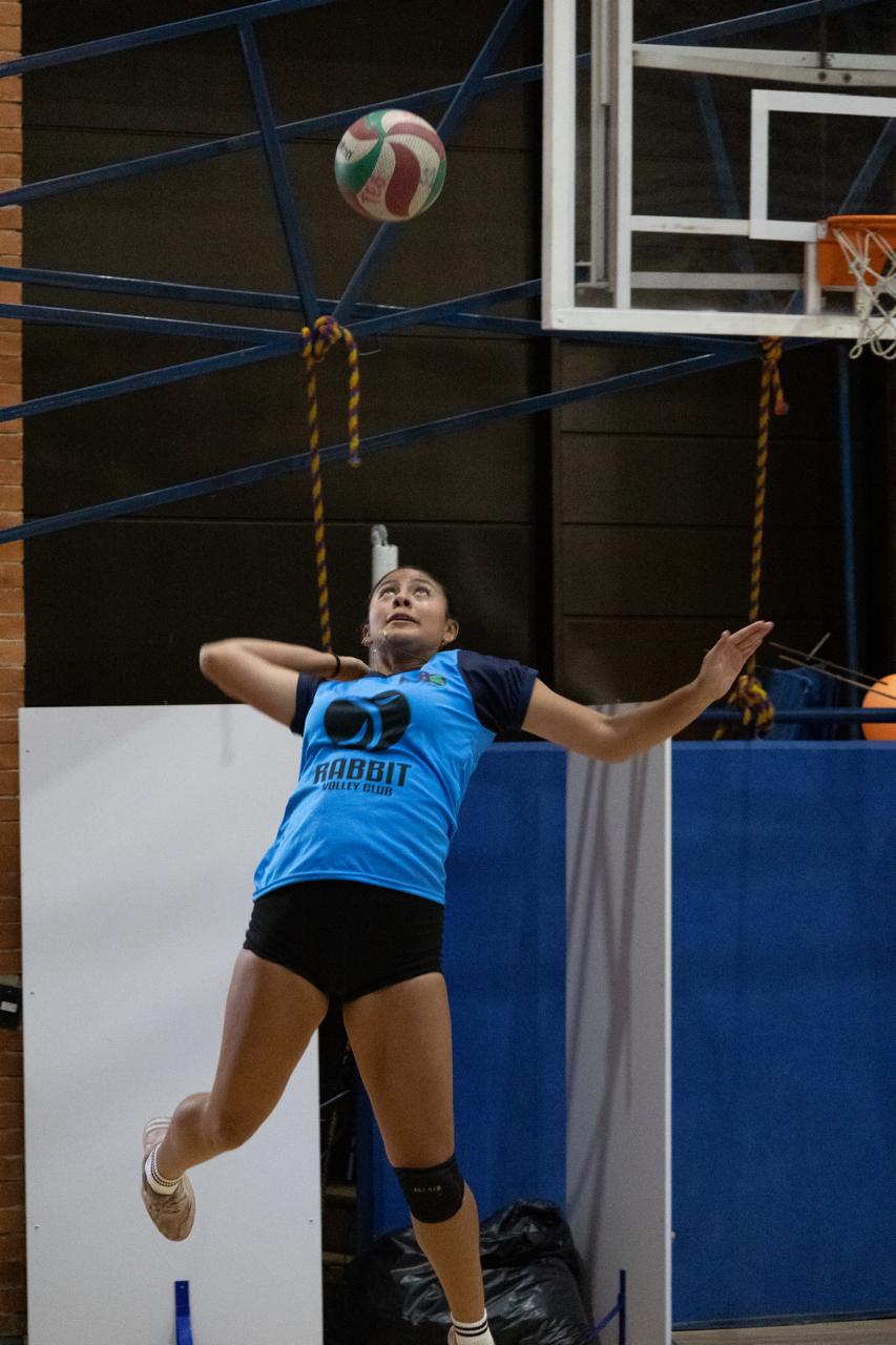 Jugadora de voleibol